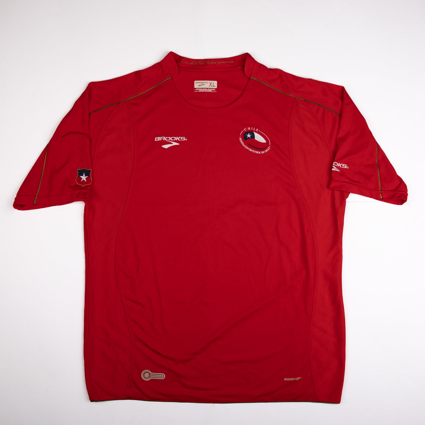 Chile - 2010 Home